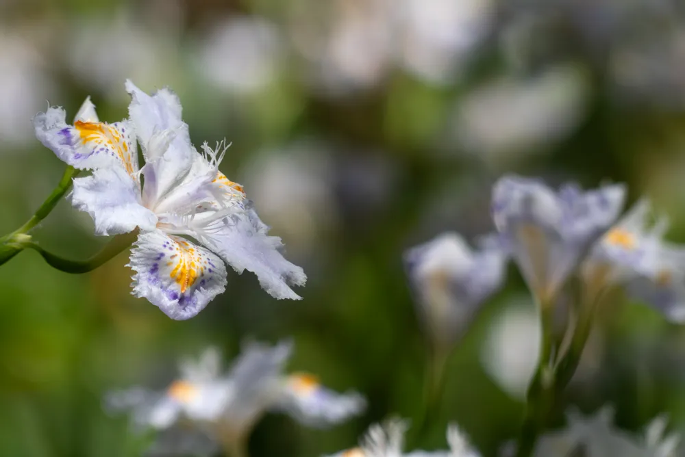 社内でできるWeb用写真づくりセミナーのサンプル写真
